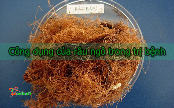  Công dụng bất ngờ của râu ngô trong việc trị bệnh 